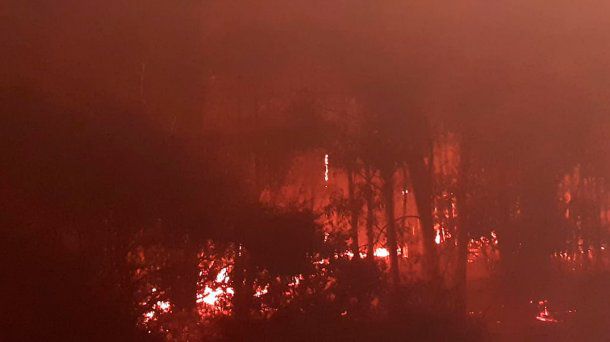 incendios, incendios forestales, tandil