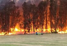 Incendio en las Sierras de Tandil: el fuego rodeó a un hotel cinco estrellas incendios, incendios forestales, tandil