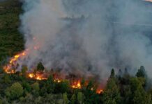 Incendio en El Bolsón: más de 6.500 hectáreas arrasadas incendio en el bolson, el bolson, rio negro