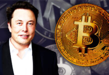 Bitcoin: Tesla (Elon Musk) compró USD 1.500 millones y salta 15% alcanzando un nuevo récord bitcoin, elon musk