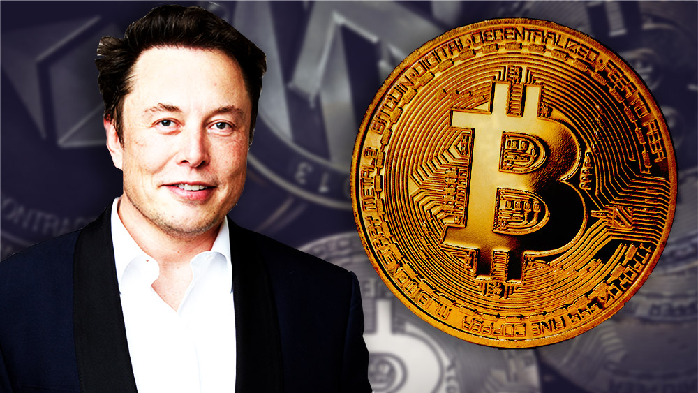 bitcoin, elon musk