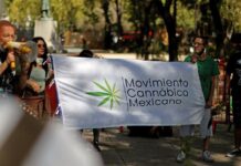 México aprobó el uso recreativo de marihuana