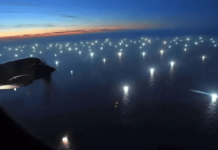 Alarma por cientos de pesqueros ilegales en el Mar Argentino