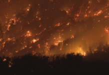 Denuncian que los incendios en Chubut fueron intencionales