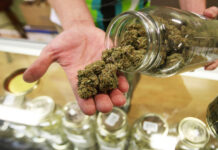 Nueva York legaliza la marihuana y libera de antecedentes penales a las personas
