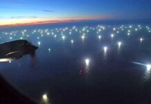 Piden tipificar la pesca ilegal como delito