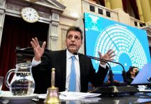 Massa citó a los laboratorios para que den explicaciones en el Congreso