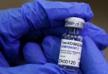 La OMS anticipó cuándo podría aprobar la vacuna Sputnik V