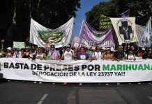 La Marcha de la Marihuana puso el foco en las personas detenidas por cultivar