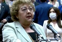 Murió Silvia Sayago, flamante diputada nacional por Santiago del Estero