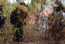 Continúan las tareas para combatir el fuego en la isla Puente de Paraná