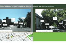 Ola de calor: los beneficios de los árboles en las ciudades