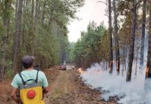 Incendios en Corrientes: el fuego alcanzó un hotel y tuvieron que evacuar a los turistas