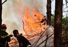 Al menos 17 focos de incendios se mantienen activos en Corrientes pero las lluvias comienzan a dar esperanza