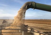 Tras la suba de retenciones, el Gobierno reabre las exportaciones de aceite y harina de soja