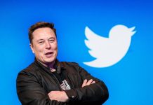 Elon Musk compró Twitter: ¿cuáles son los principales cambios que se podrán ver en la red social?
