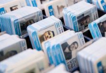 Licencias de conducir: cómo funciona el nuevo sistema de scoring a nivel nacional