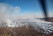 Continúan las tareas para extinguir las llamas en las islas del Delta del Paraná, hay detenidos