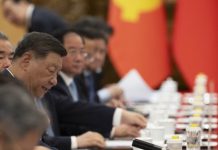 Cómo queda parada China tras la privatización del Belgrano Cargas