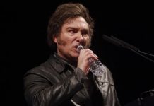 Las inversiones se derrumbaron un 25% y por eso Milei ahora mira a China