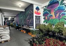 La Policía de la Ciudad desarticuló una banda que vendía «dulces mágicos» en redes sociales