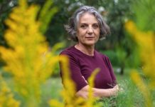 La investigadora del CONICET Sandra Díaz, entre las 100 personas más influyentes del mundo | La revista Time distinguió a la bióloga cordobesa